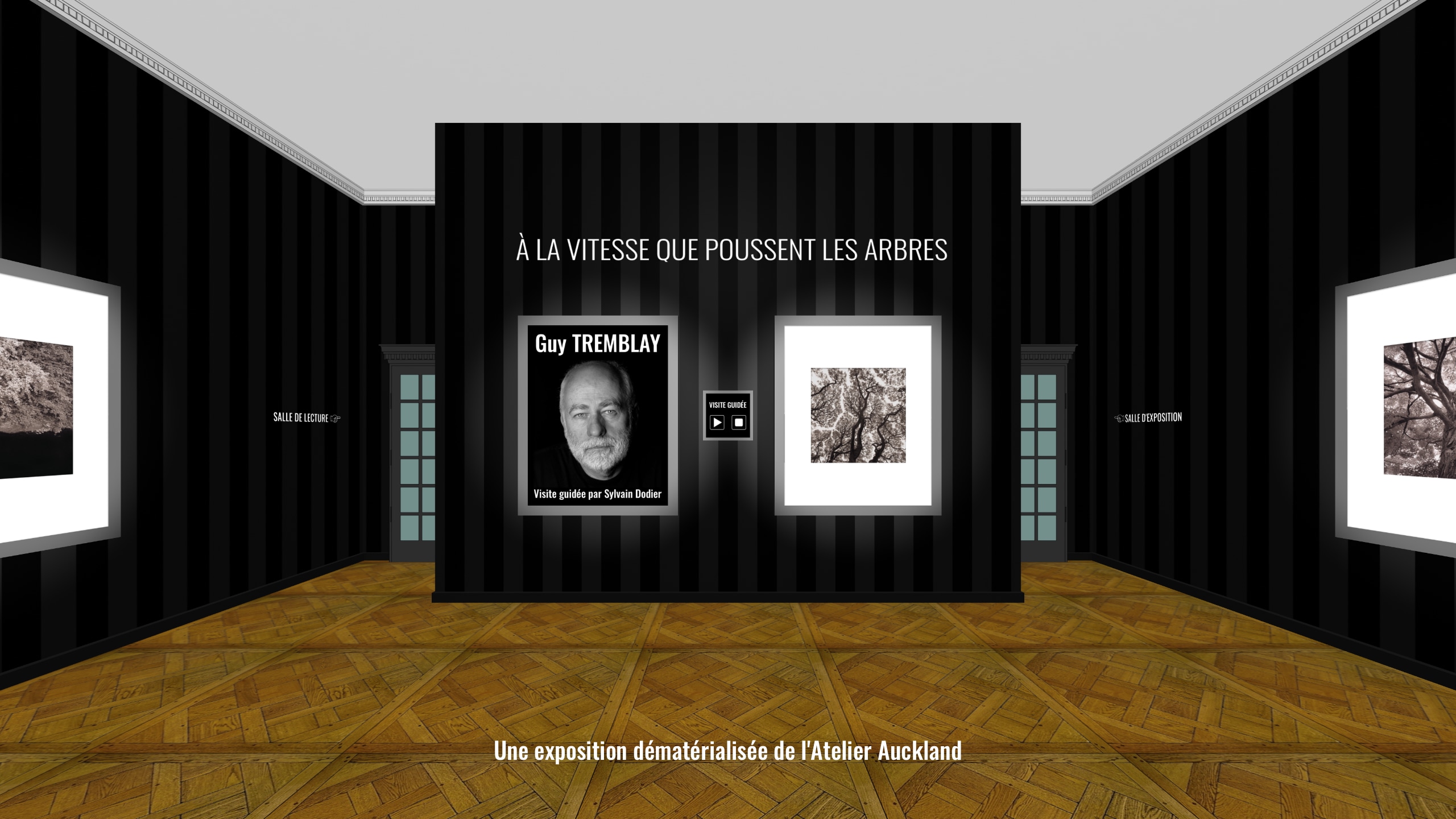 À la vitesse que poussent les arbres, de Guy Tremblay. Une exposition dématérialisée de l’Atelier Auckland dans des galeries 3D créées par Galeries3D.CA